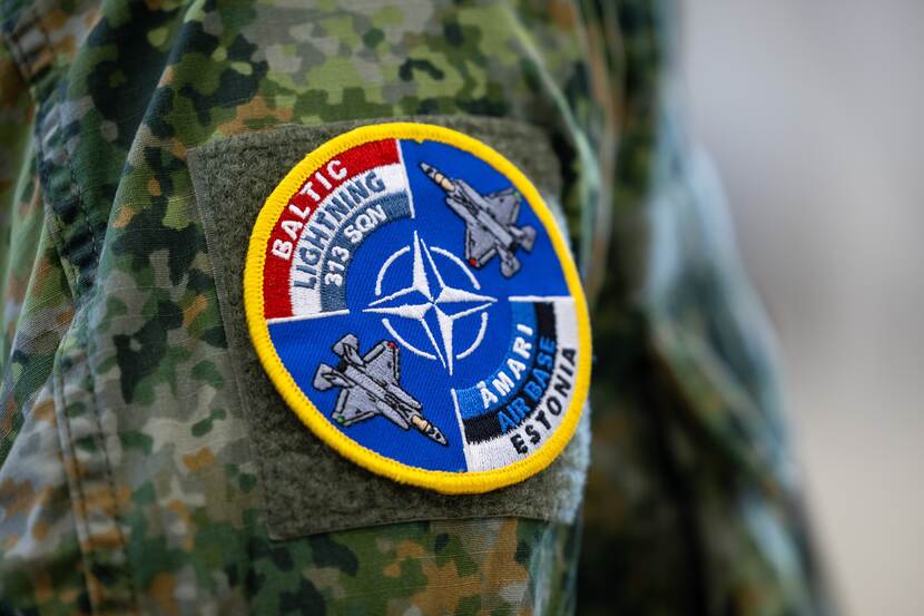 Embleem Baltic Lightning 313 sqn. In het midden het NAVO-logo.